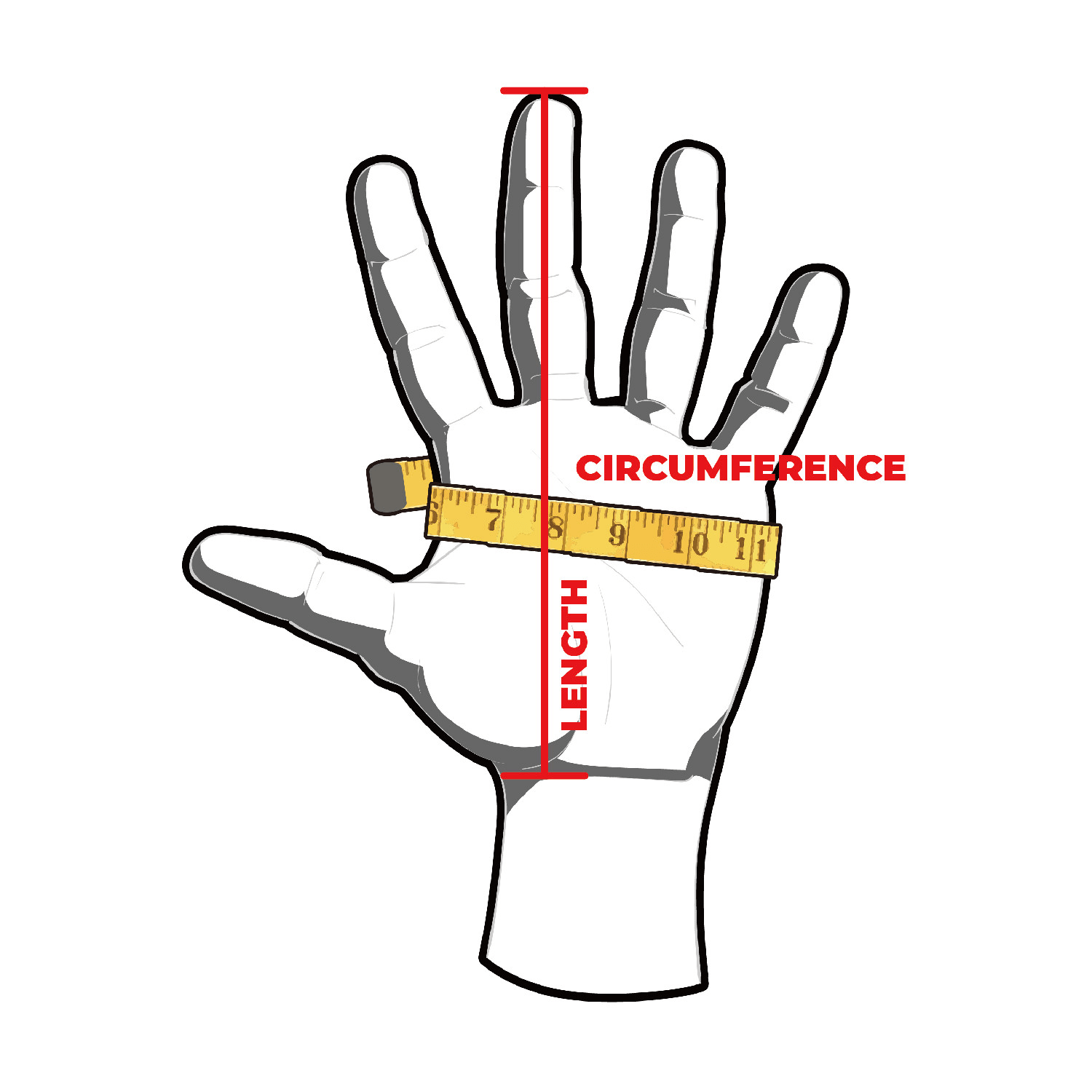 Handschuhe | So messen Sie: Länge, Umfang